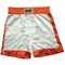Rocky Balboa Boxing Trunks Costume Adult Standard Satin Replica